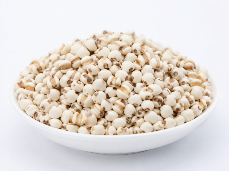 辽阳食品加工用薏仁碎米